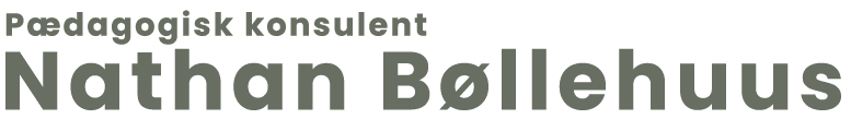 Pædagogisk konsulent Nathan Bøllehuus